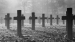 crosses in a cemetery