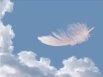 feather floating - Photo Credit - © Canva Pro Content License nzdsos