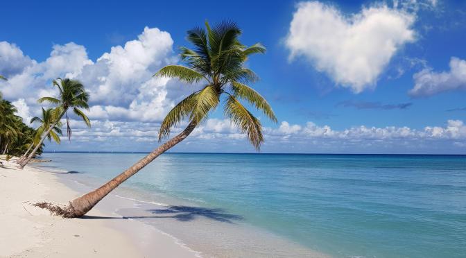 beach with palm trees Sunrise from Pixabay