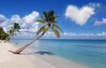 beach with palm trees Sunrise from Pixabay