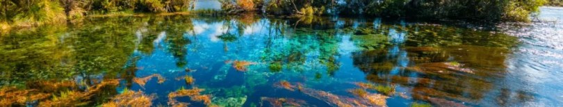 Pupu Springs