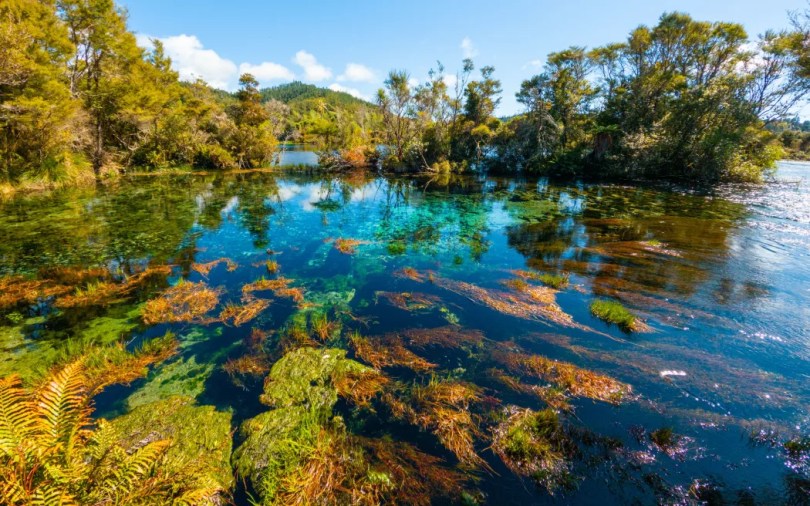 Pupu Springs